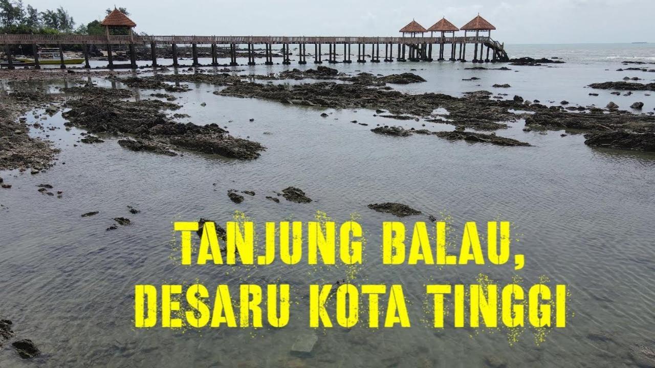 Desaru 16Pax Family With Private Mini Pool & Jacuzzi Villa Kota Tinggi Eksteriør billede